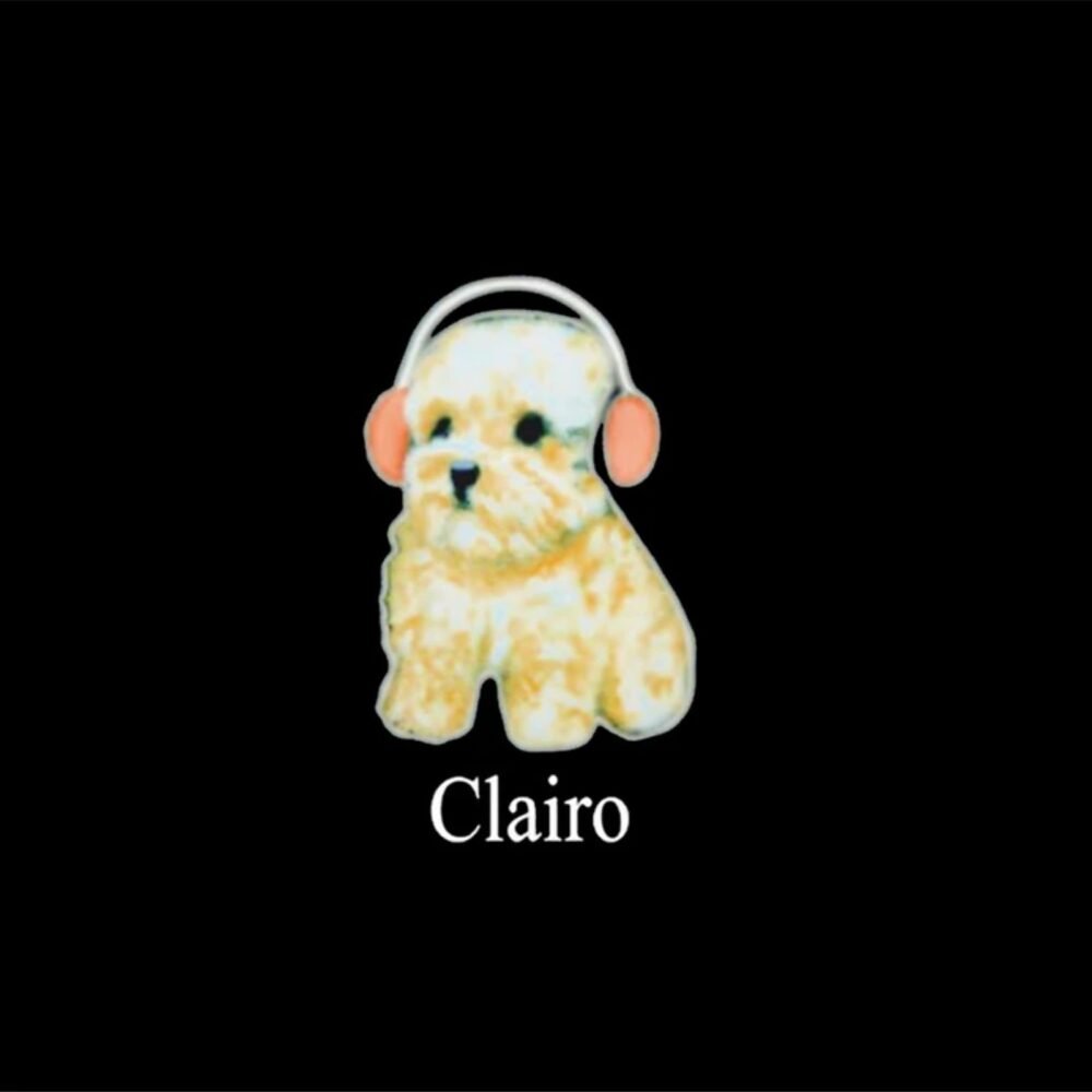 Clairo Dog Hoodie Logo